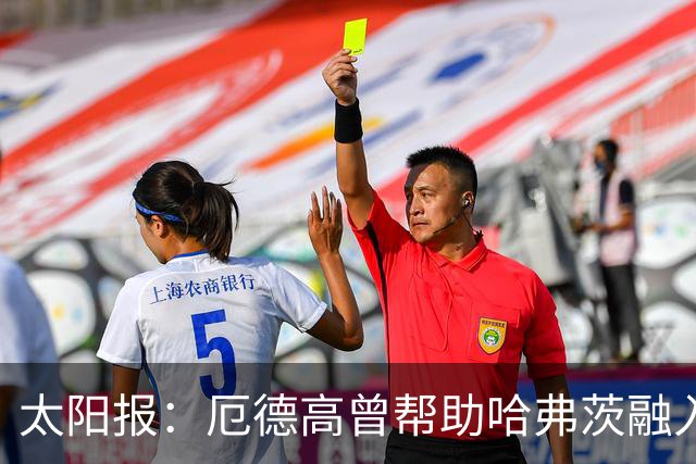 太阳报：厄德高曾帮助哈弗茨融入阿森纳，两人场下关系很好