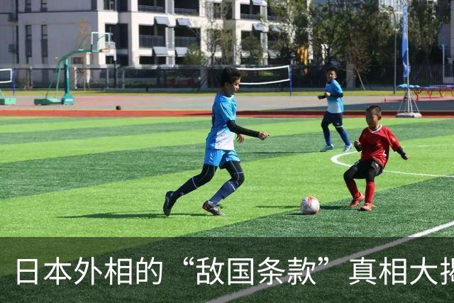 日本外相的“敌国条款”真相大揭秘：一场历史的“美容大赛”！